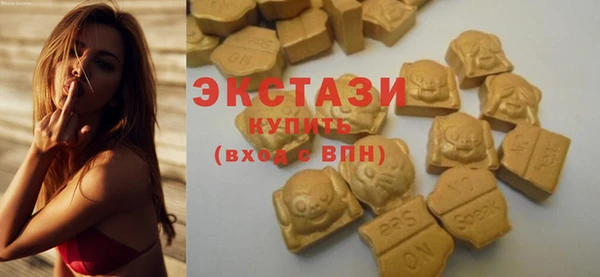 хмурый Пересвет